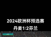 九游娱乐网站-丹麦队接连获胜！欧洲杯预选赛赛事火热进行中！的简单介绍