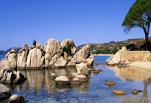 皇马传奇告别，马竞铁卫表现抢眼