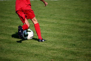 九游官网入口注册-冬奥场馆智能系统协助运动员热身训练,冬奥会设备 第1张